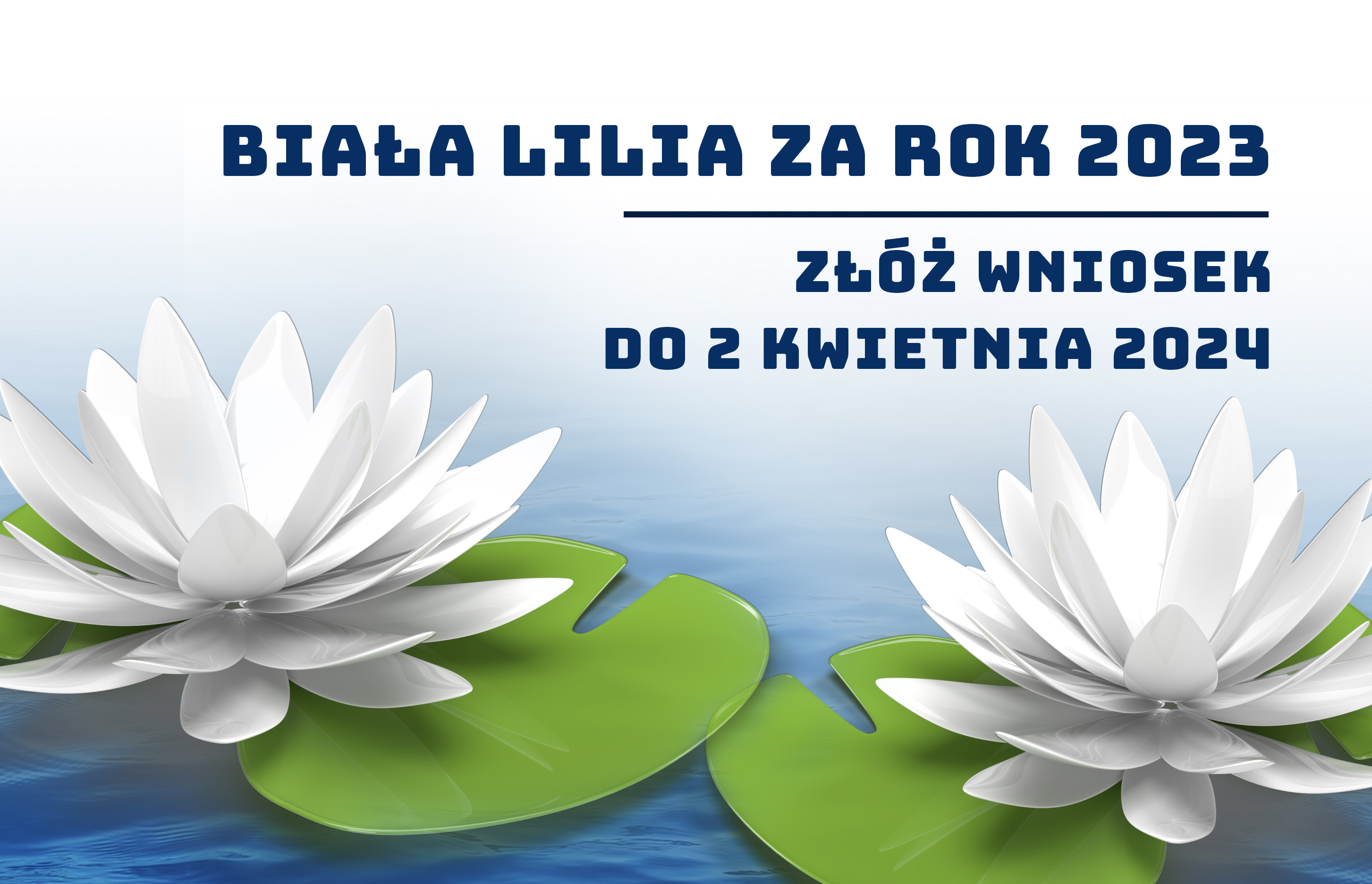 Ostatnie dni naboru wniosków na nagrodę „Białej Lilii” za 2023 rok